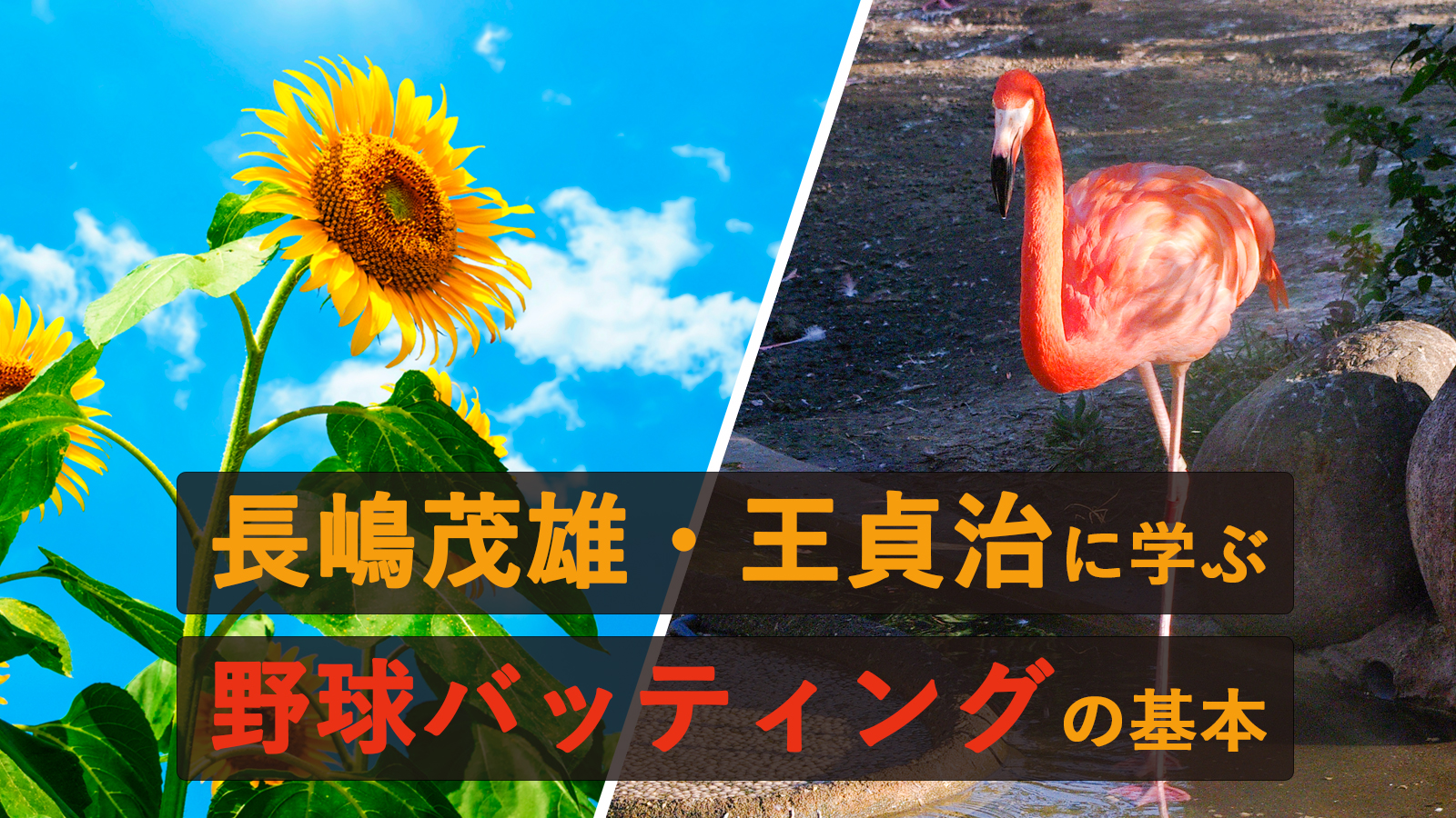 長嶋茂雄 王貞治に学ぶ野球バッティングの基本と考え方 にどね研究所